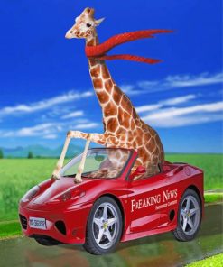 giraffe in car paint by numbers