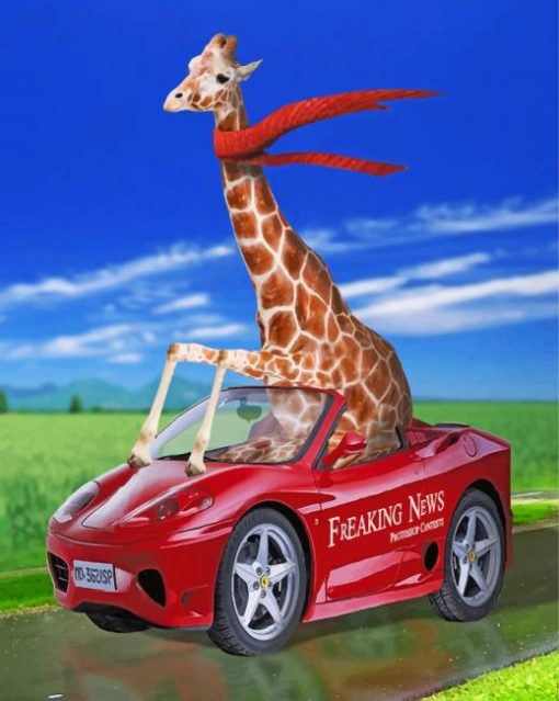 giraffe in car paint by numbers