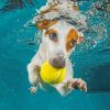 Jack Russell Underwater Paiint by numbers