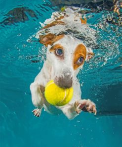 Jack Russell Underwater Paiint by numbers