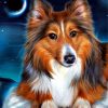 Sheltie Dog ppaint by numbers