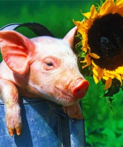 Aesthetic Pig And Sunflower Paint by numbers