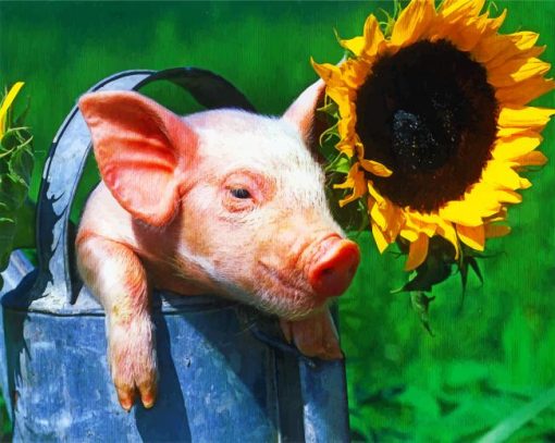 Aesthetic Pig And Sunflower Paint by numbers
