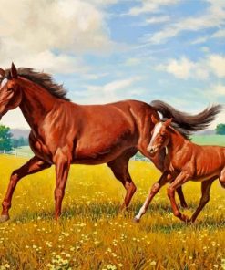 Horses In Meadow Paint by numbers