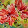 Red White hibiscus paint by numbers