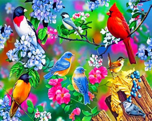 Spring Garden Birds Paint by numbers