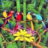 Tropical Parrots Birds Paint by numbers