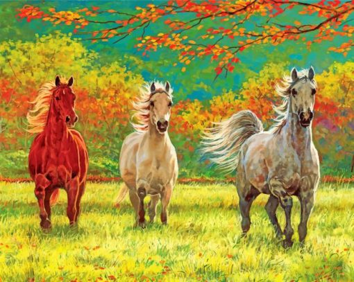 Wild Horses Paint by Numbers