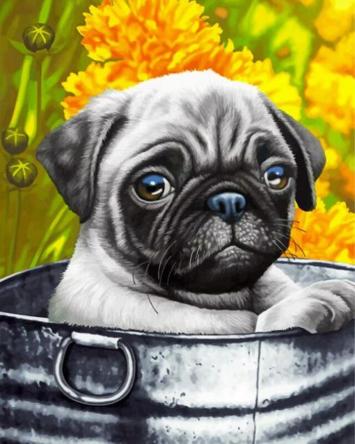 cute-pug-paint-by-number