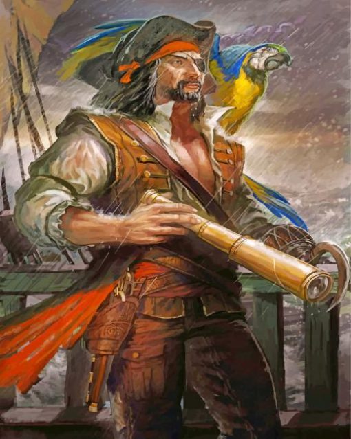 Pirate With Parrot Paint by numbers