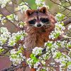 Raccoon In Blossoms Paint by numbers