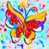 Colorful Butterfly Art Paint by numbers