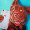 Dog Taking Selfie Paint by numbers