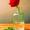 Red Rose In Jar Paint by numbers