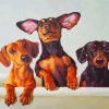 Dachshunds Dogs Paint by numbers