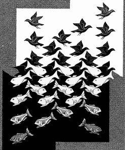 mc-escher-sky-and-water-paint-by-numbers