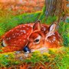 Female Deer paint by numbers