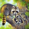 Raccoon Family Paint by numbers