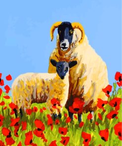 Sheep And Poppies Paint by numbers