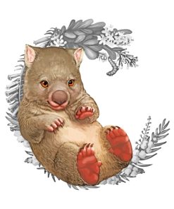 Baby Wombat Illustration