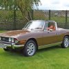 brown-triumph-stag-paint-by-numbers
