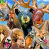 crazy-animals-paint-by-numbers