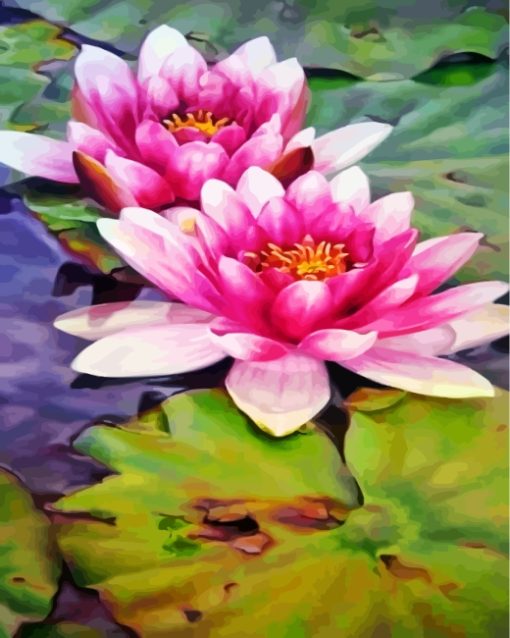 realistic-water-lily-paint-by-numbers
