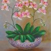 white-orchid-flower-paint-by-numbers