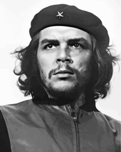 Black And White Che Guevara Paint by numbers
