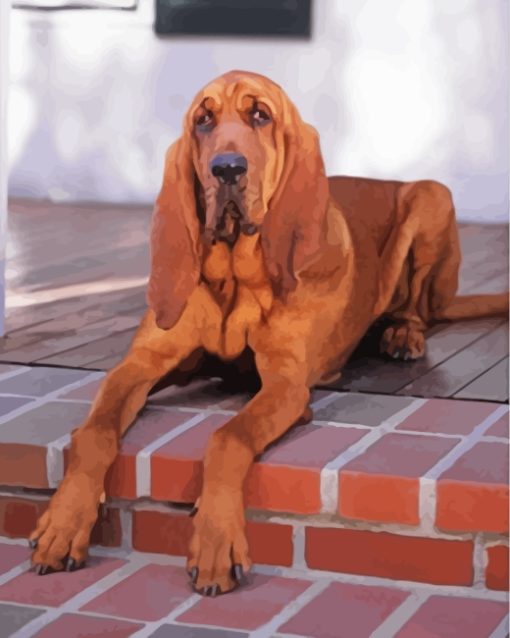Brown Bloodhound Paint by numbers