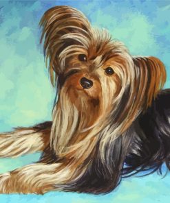 Cute Yorkshire Terrier Dog Paint by numbers