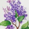 Lilac Flowers Paint by numbers