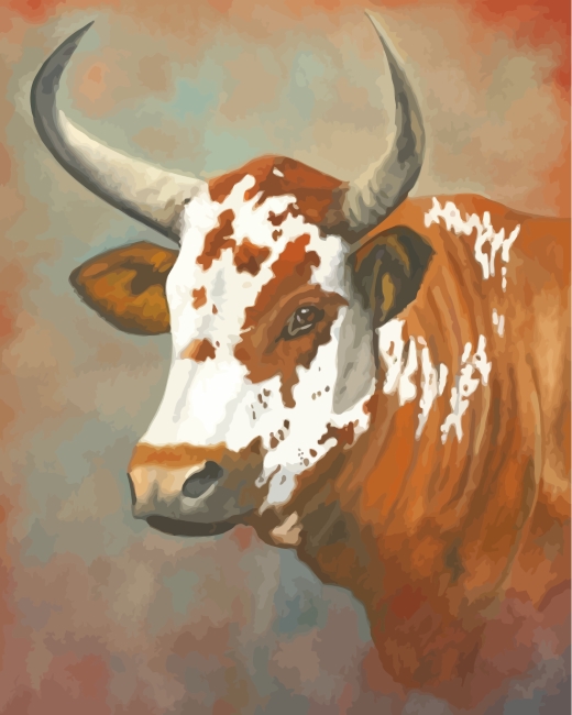 Cow Paint by Number -  Australia