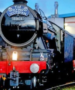 Flying Scotsman paint by numbers