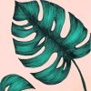 aesthetic-Philodendron-paint-by-numbers