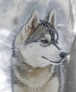 aesthetic-husky-and-snow-paint-by-numbers
