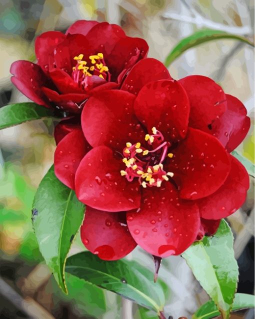 aesthetic-red-camellia-paint-by-numbers