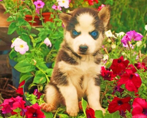 baby-dogs-face-flowers-husky-paint-by-numbers