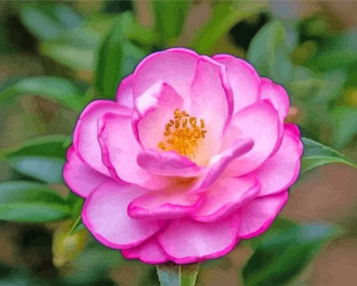 beautiful-camellia-paint-by-numbers
