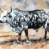 Black And White Nguni Paint by numbers
