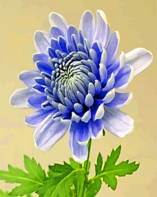 chrysanthemum-flower-paint-by-number