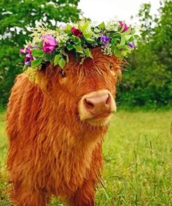Cow Wearing Flower Crown