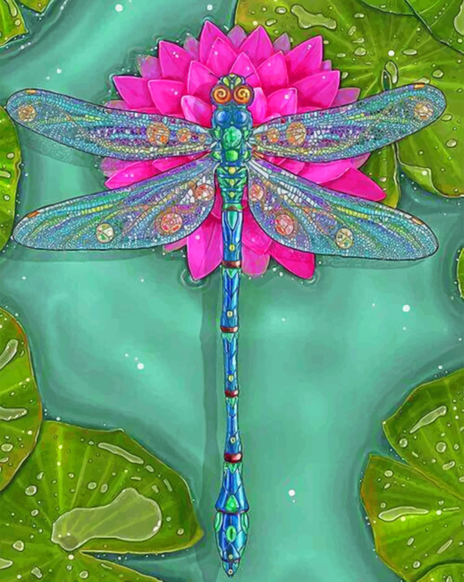 dragonfly-illustration-paint-by-numbers