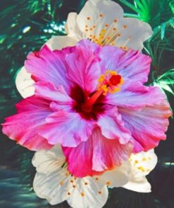 Hibiscus Flower paint by number