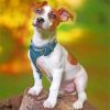 Jack Russell Animal Paint by numbers
