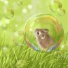 little-mouse-inside-soap-bubble-paint-by-numbers