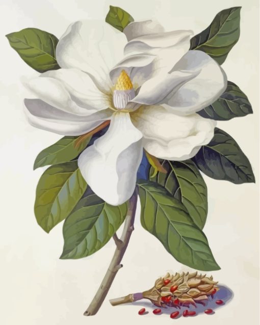 magnolia-paint-by-numbers