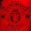 Manchester United Paint by numbers
