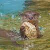 north-american-river--beaver-otter-paint-by-numbers