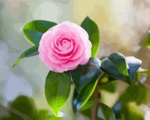 pink-camellia-paint-by-numbers